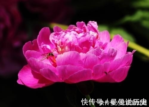 生在这三个时辰的孩子，天生好运挡不住，运旺全家，生活无忧无虑