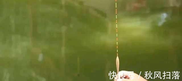 水域|浮漂顶起又落下,提竿却均不中鱼解读3种奇怪漂相不中鱼的原因