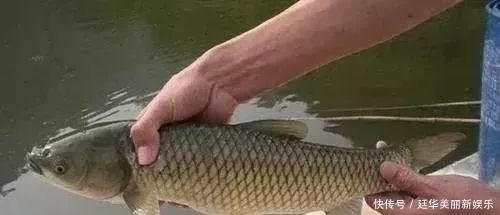 朋友|致每一位爱钓鱼的朋友!