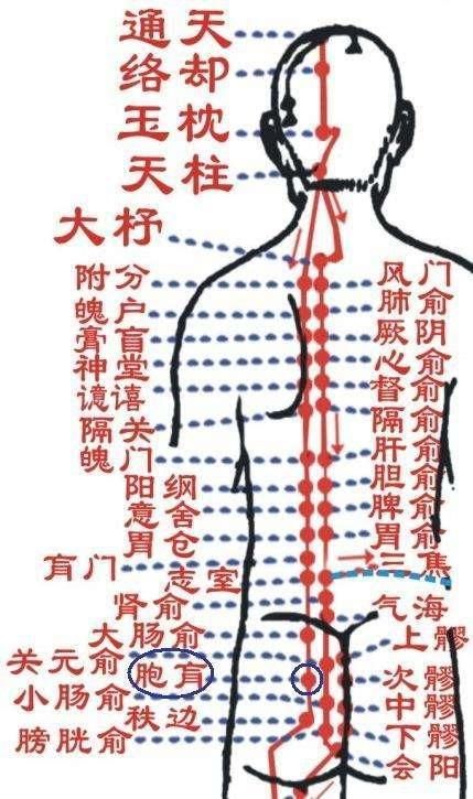 子午流注说难 足太阳膀胱经六穴 快资讯