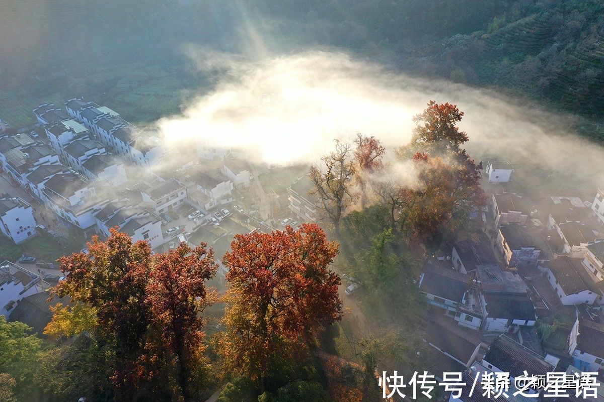 戴向阳|一张照片引来的人潮，石城狂欢，村民家家发财