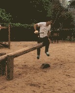 |搞笑GIF:女人真的有那么喜欢长得高的男人吗?