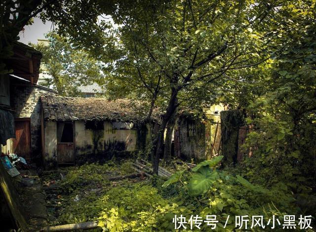 鬼怪@《聊斋志异》:大胆秀才独宿空宅,“藏”了一个金杯,后来如何?