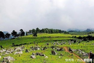 春节自驾去！这里全年无冬，比成都安逸，还没被商业化！