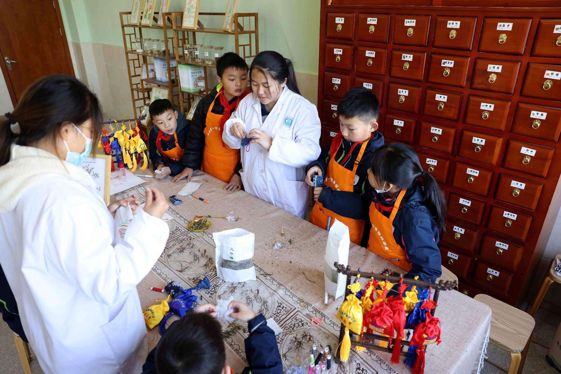 瑶海区幸福路小学|“百草园”里学习中医药知识