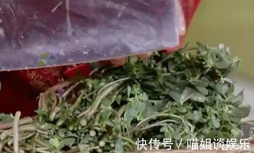 抗菌|救命的马齿苋，99的人不知道的作用再不吃就晚了
