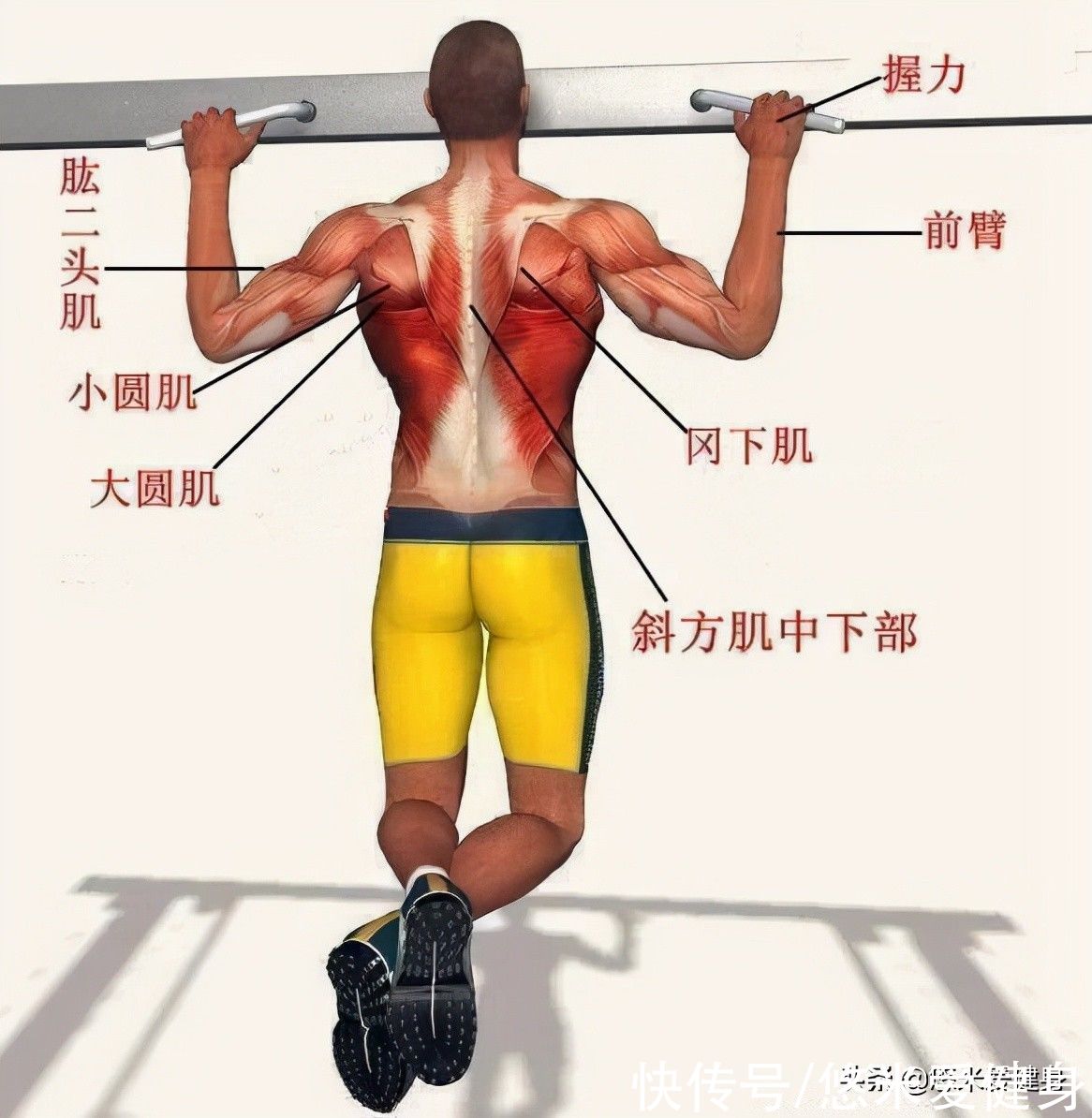 单杠|引体向上做不好怎么办？通过3个阶段的训练，完成10个动作很轻松