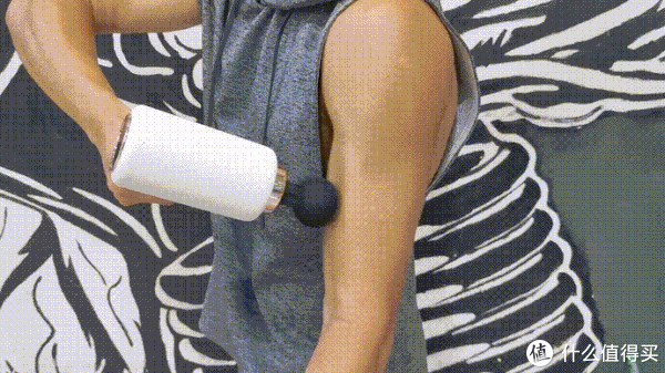 动作|健身成长手册 篇二十二：一对哑铃练遍全身肌群，14个哑铃健身动图，新手跟练起来