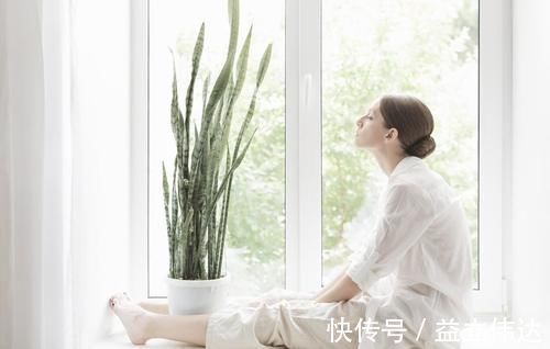 植株|养虎皮兰,能不能晒太阳,怎么养能长得更旺,为你揭开答案