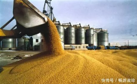 中国大豆产量