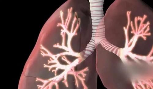 秋季|秋季“第一大补”竟是它!化痰止咳安神助眠……配上鸡蛋功效翻倍