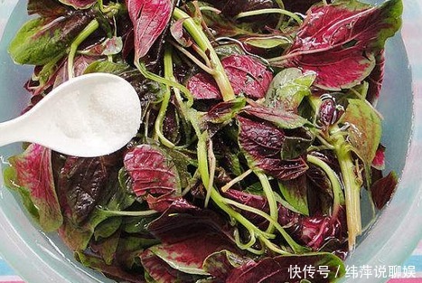 长寿菜|它是蔬菜中的“长寿菜”,春天吃正鲜嫩,排毒减肥,吃出好身材