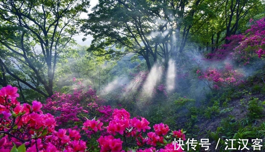 王维|九首情谊古诗词:青山空向一帆远,汀州落日五湖春