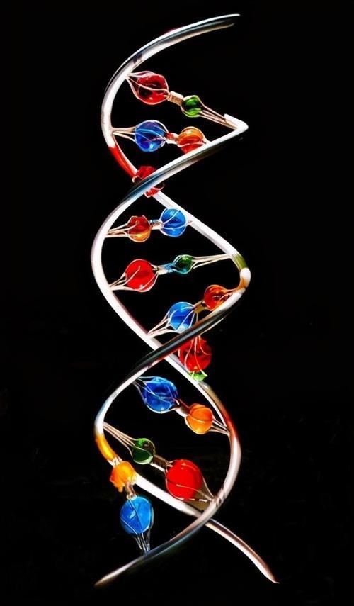 研究了87位百岁老人,“长寿之乡”有6个关键点