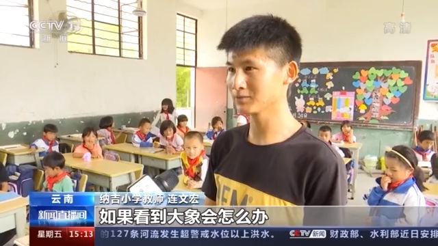 大象|大象闯入校园怎么办？ 普洱建“防象小学” 探索人象和谐共处新机制