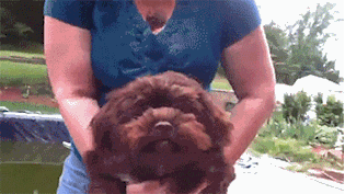 |搞笑GIF:帅哥拉弓的动作其实挺标准的,手里的东西是亮点!