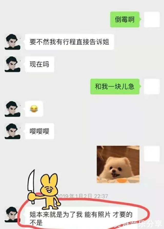 聊天记录|糊咖丁泽仁被曝劈腿？私联站姐嘴队友朱正廷，房虽塌了却无人伤亡