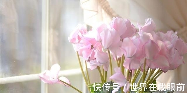 桃花|7月19日-7月27日，灼灼桃花，翩翩喜鹊，真爱降临，余生美好