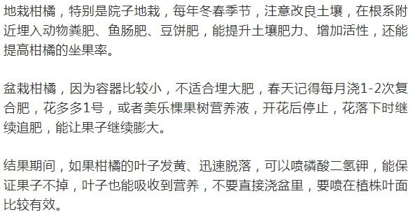 这10种花爱喝醋，浇水加点酸，叶子油亮爱开花！