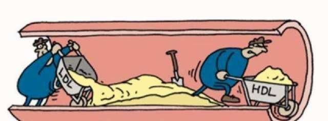 爱尔玛|五十岁后,不爱做一件事的人,身体不会太差,长寿与你有缘