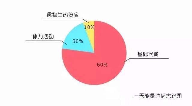 低碳日|别人天生吃不胖,而你喝水也长胖,“罪魁祸首”原来是它