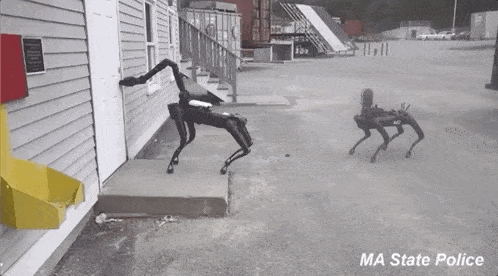 机器|波士顿动力「人狗共舞」:PK韩国男团,机器舞神组团来袭