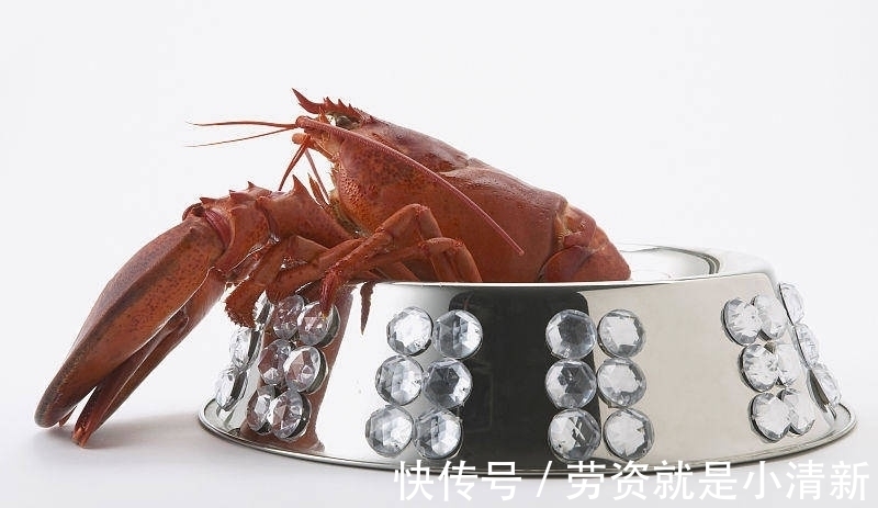 18个冷知识:课本上几乎不会接触,但真实存在于世界的有趣事实