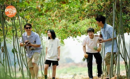 一直在《向往的生活》“耗下去”的彭昱畅还有前途吗