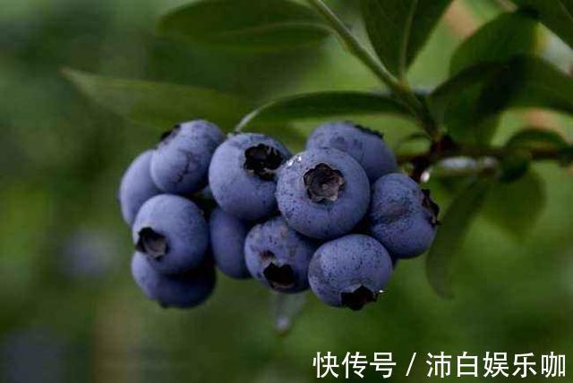 桑葚|女性开始衰老,多有3个表现,少吃3物,多做3事,延缓衰老显年轻