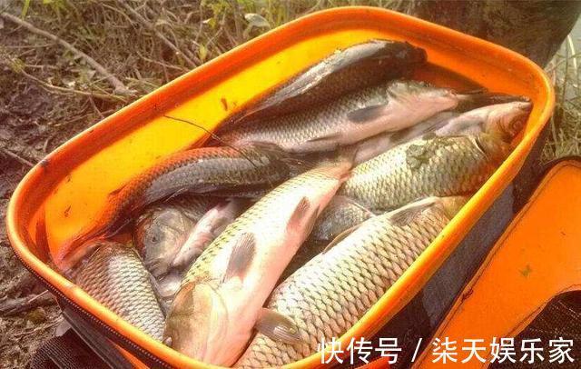 药液|钓鱼可以用哪些中药泡酒正确选用方能钓获大鱼!