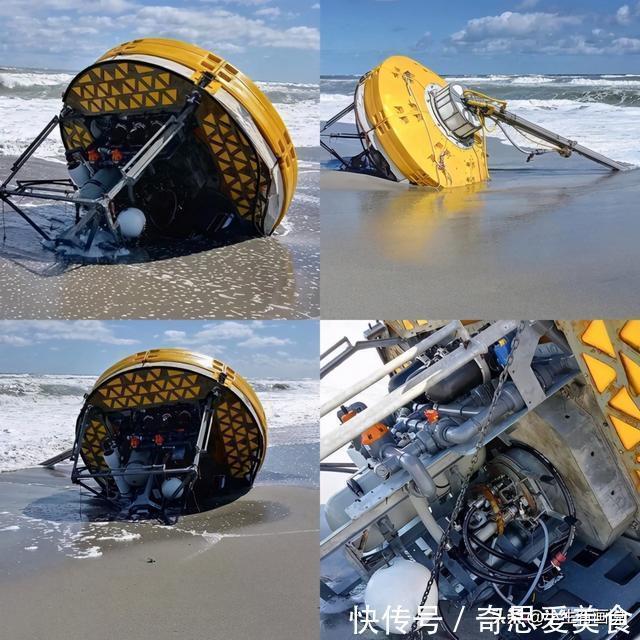 网络&网络有多“恐怖”?不管你问什么,“万能”的网友都知道