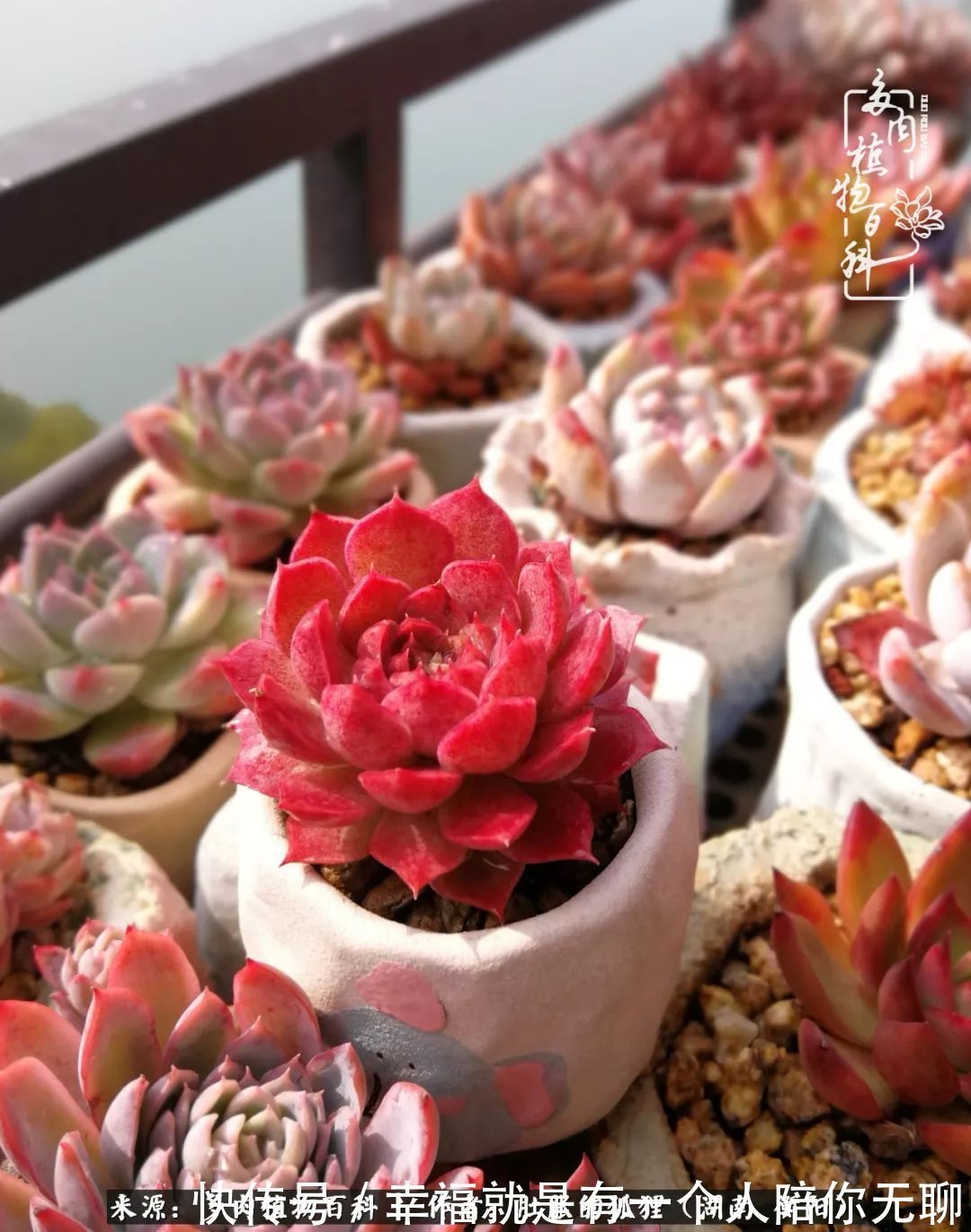 爱这一片缤纷的色彩，因为我们都是好色之徒！