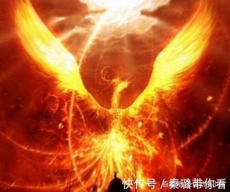霍雨浩|斗罗大陆:最厉害四大兽武魂,冰碧帝皇蝎垫底,青龙祖先上榜