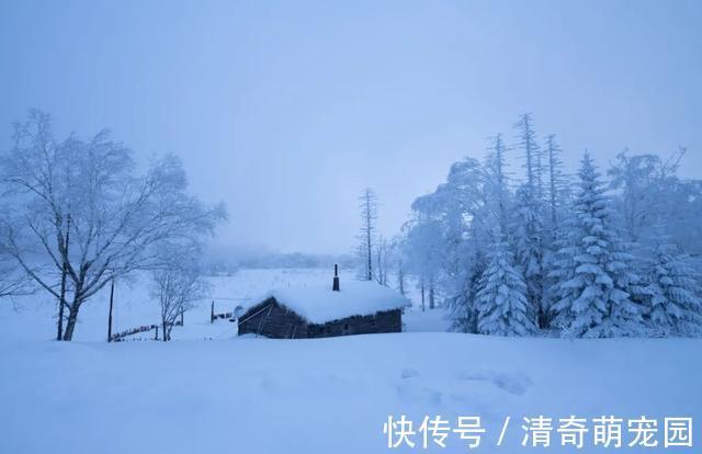 谢道蕴!白居易晚上被冻醒,写下一首夜雪诗,短短20个字,成为咏雪绝唱