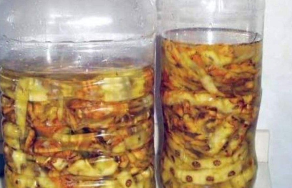 植物|居家养花种草,平时用它浇浇,植物就像打了鸡血一样蹭蹭疯长