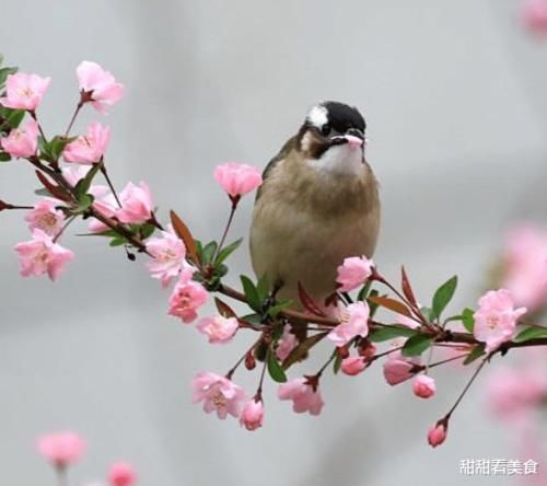 假期孩子数学这么学，从低分可以提到高分