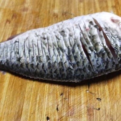 可以大口吃肉的“无刺”鲫鱼