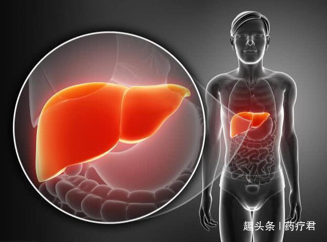 胆红素|肝功能正常，就没事了体检这些指标也正常，才能真的安心