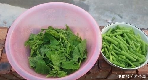 夏天,别错过这菜,1周吃4次,润肠排宿便,皮肤变白了,腰也细了