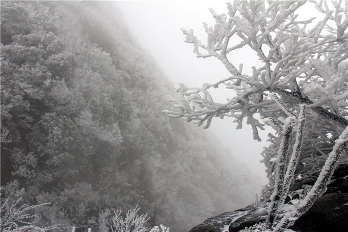 雪景|广东这几个地方这周可能会下雪，雪景最漂亮在这几个地方