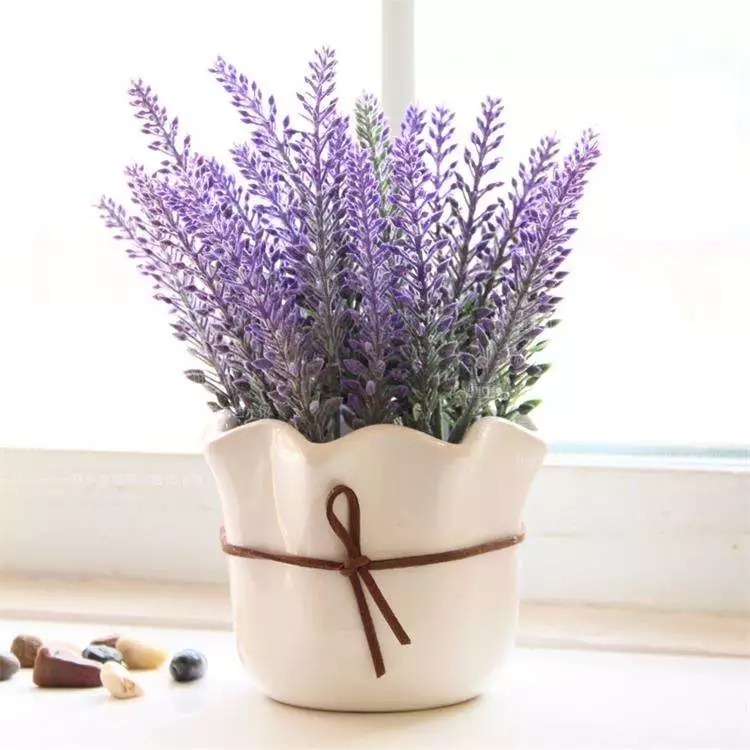 不老丹|世间上最好的养生,就两个字!