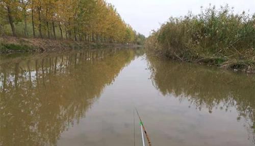  冬季鱼难钓，应对方法很多，但不少钓友忽略了这两点