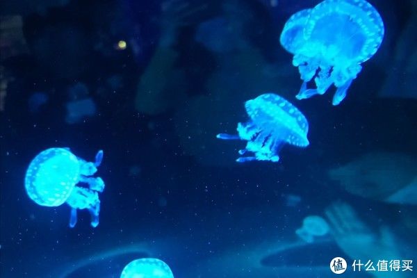 病变|颈椎病、脂肪肝,中年人需时刻警惕的2种危险疾病