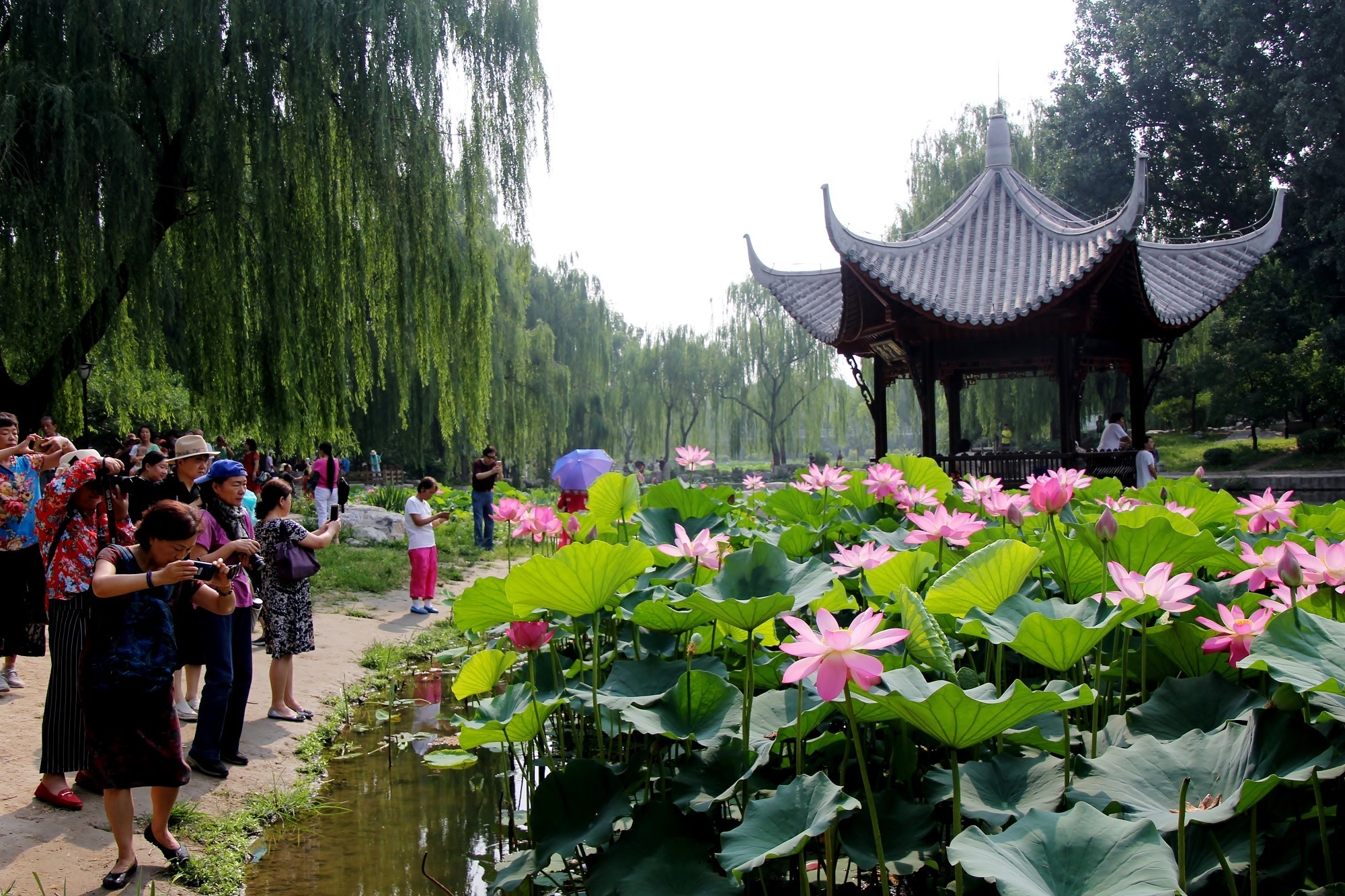 朝阳公园 千万别白跑一趟!近期北京部分景区场馆临时关闭,请游客周知