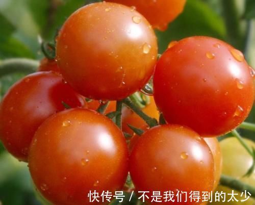 小肚子|女生小肚子鼓鼓像“怀孕”没事多吃“它”,燃烧脂肪,瘦出“小蛮腰”