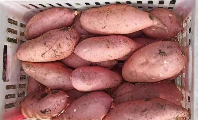 10月，宁可不吃肉也要吃它，既外酥里嫩又补铁，比吃肉香多了