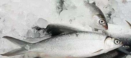 发育|宝宝见到这3种人会笑,说明智力发育比同龄人快,将来更有成就