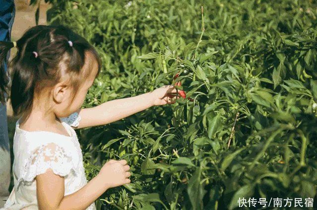 黄浦江源|安吉这个坐拥山野世外之地的民宿，泳池、茶园丨尧珈·清水谷民宿