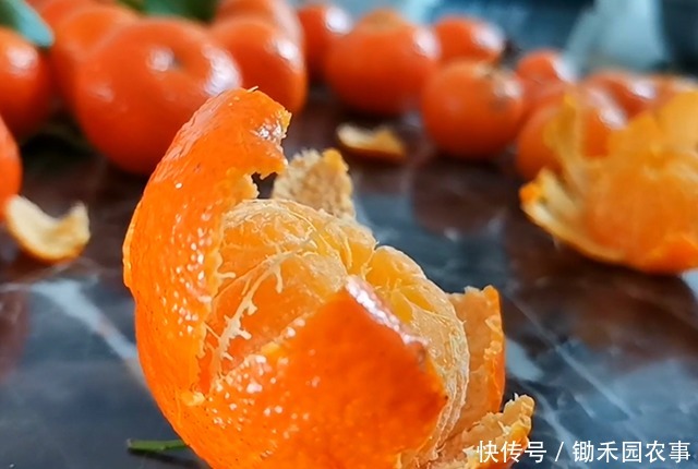 “砂糖橘”有真假,这样的“砂糖橘”,别买,不好吃!4招挑橘子