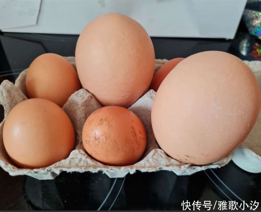 妈妈|英国妈妈晒出“超级巨蛋”，网友：这只母鸡吃了啥？